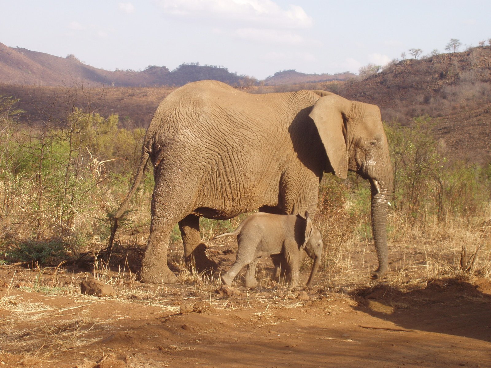 World s Top Nature Reserves